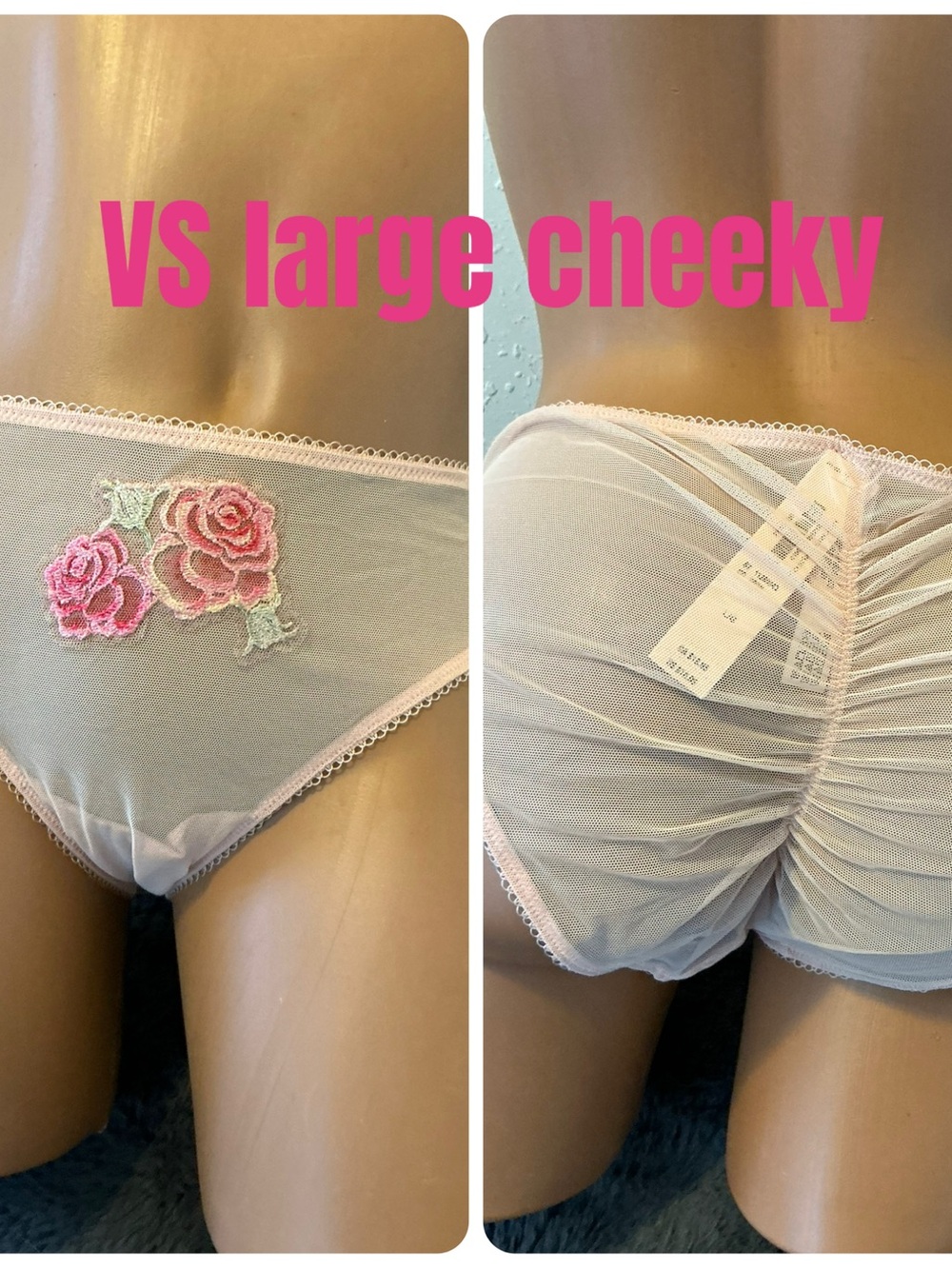 Victoria's Secret Light Pink Sheer Cheeky Panty with Rose Applique